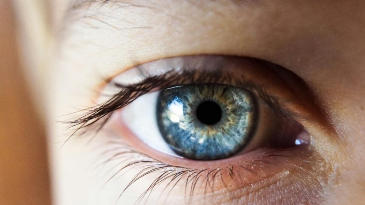 Excesso de sal pode aumentar risco de glaucoma e elevar pressão intraocular, aponta estudo