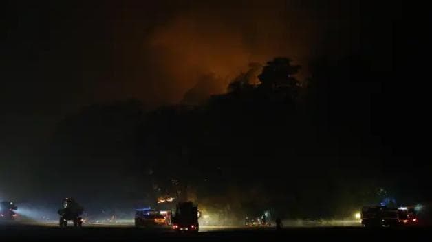 Incêndio de grandes proporções atinge floresta histórica perto de Paris e destrói quase 800 hectares