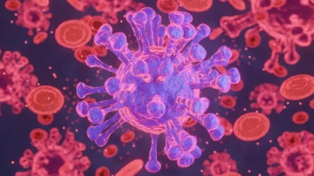 Câncer transmissível? Cientistas descobrem fenômeno raro em peixes nos EUA
