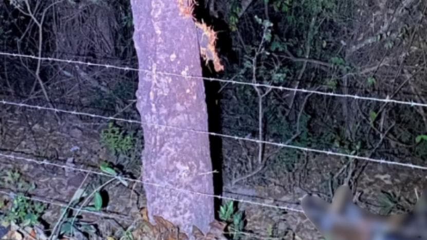 Motociclista morre após perder o controle da moto e bater em árvore em Minas Novas